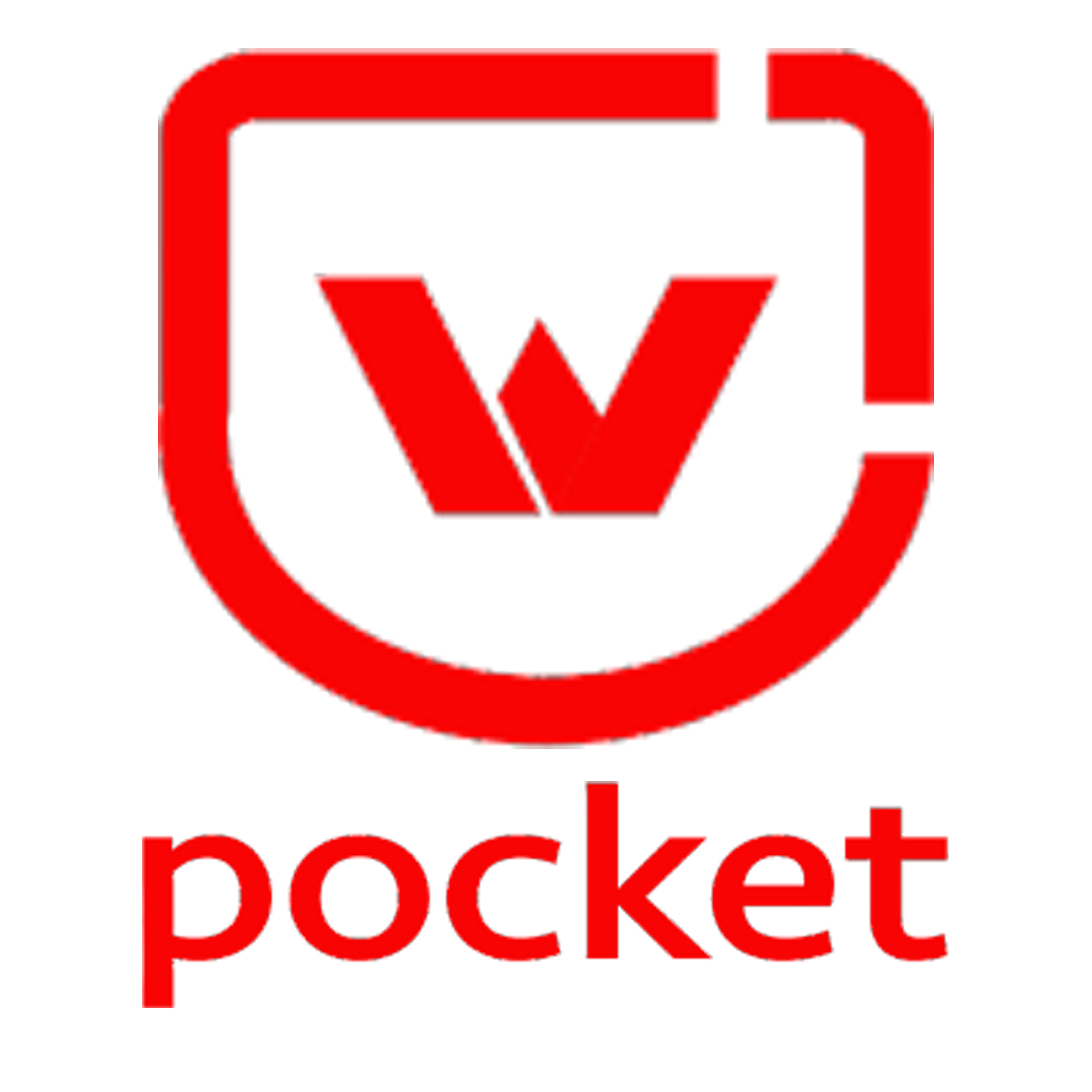 Your digital sarthi webinpocket for web developmet service